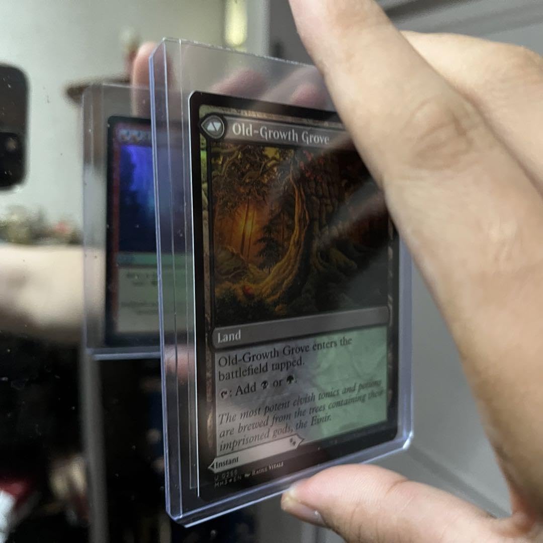 エラーカード　モダホラ3両面foil　発想の奔出 + 原生樹林帯 エラーカード モダホラ3両面foil 発想の奔出 + 原生樹林帯 エラー